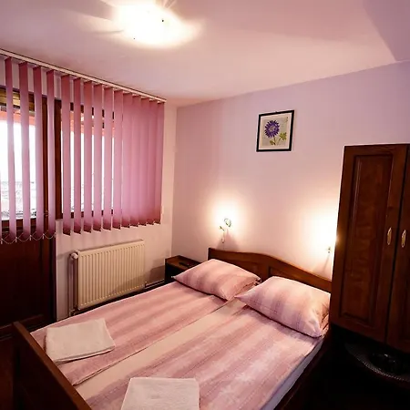 Pensiunea Flori 3* Sibiel