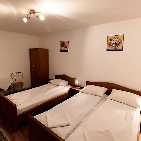 Pensiunea Flori 3* Sibiel